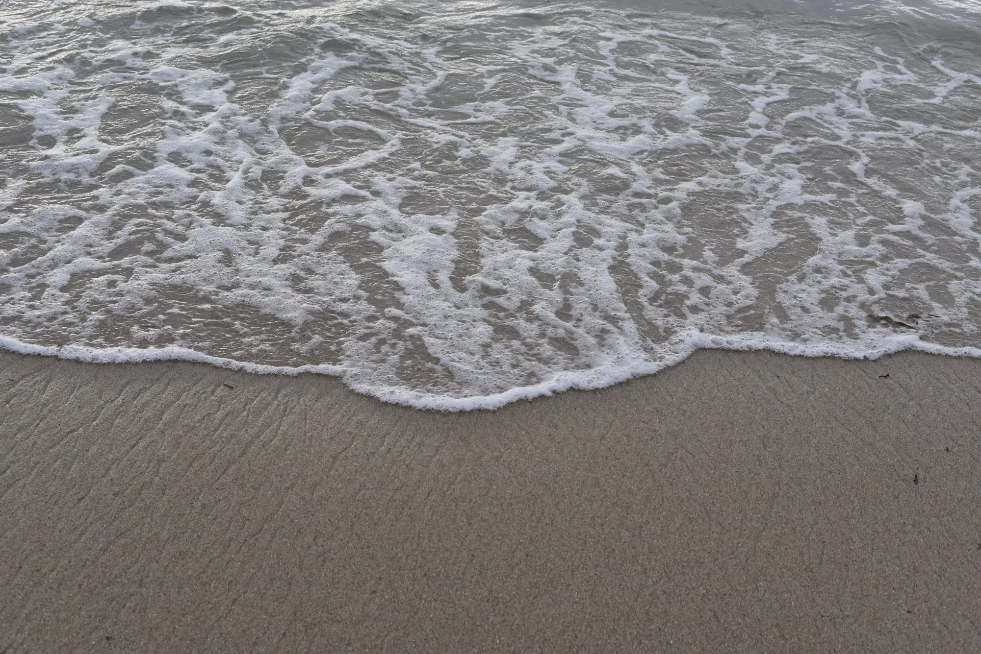 Foam from a receding wave tracing patterns across white sand